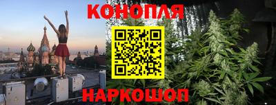 сатива Нарткала