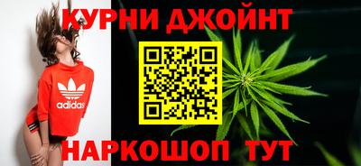 спиды Новозыбков